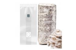 China Mushroom grow bags spawn cultivation mushroom bag with injection port supplier