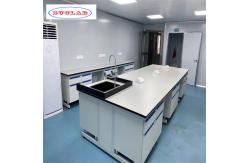 China Chemistry Lab Workbench with Drawing Specifications Handles Hooks Lights supplier