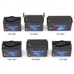 Lifepo4 Lithium RV Battery 100ah 12v 1280WH With BMS for sale