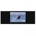 86 Inch Smart Digital Blackboard LCD Type DLED Display And High Contrast Ratio 1200 1 for sale