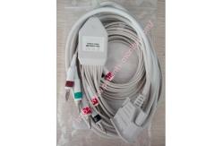 China PHiliph PW TC20 10 Lead Patient Cable IEC 989803175891 For Pediatric Adult supplier