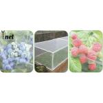 Insect Proof Nylon Garden Netting Customized Bird Netting For Vegetable Garden