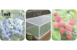China Insect Proof Nylon Garden Netting Customized Bird Netting For Vegetable Garden supplier