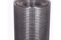 China Galvanized Welded Wire Mesh For Garden Fence Pvc Coated supplier