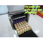 Poultry Egg Date Coding Machine Automatically Updated With LCD Touching Screen