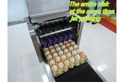 China Poultry Egg Date Coding Machine Automatically Updated With LCD Touching Screen supplier