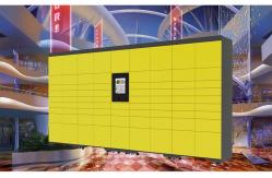 China Metal School Storage Luggage Lockers with Smart Locks Different Payment Devices Access supplier