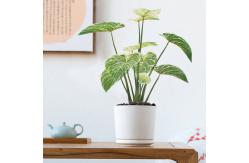 China Philodendron Birkin Decoration Artificial Bonsai Tree For Landscaping supplier