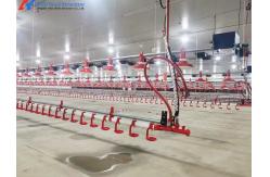 China KXD Poultry House Equipment Automatic Broiler Feeding System For Broilers / Layers supplier