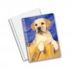 China Factory 3D Lenticular Custom offset Printed PET A3/A4/A5/A6 Notebooks for sale