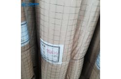 China Concrete Reinforcing Roll 0.8mm Galvanized Welded Wire Mesh supplier