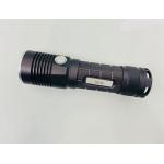 DG-30 LED Ultraviolet Torch UV Lamp for sale