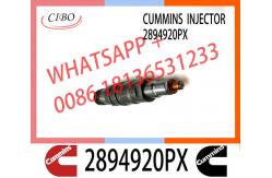China Diesel common rail Fuel Injector 2894920PX 2894920 supplier