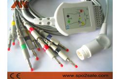 China Philips Compatible Direct-Connect EKG Cable for Codemaster 100, MRx supplier