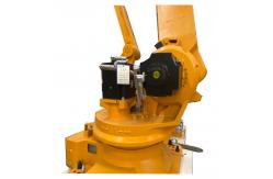 China Automatic High Accuracy Grabbing Palletizer Machine For Bags And Cartons supplier