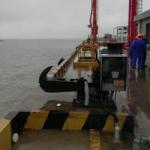 1000kg Quick Release Mooring Hook 400N Boat Towing Hook