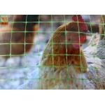 1.2 M Height Poultry Netting, Plastic Poultry Netting, Green Plastic Net Fencing For Chicken, 35GSM for sale