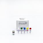 Disposable Taqman Probes PCR Test At Home Kit For Covid-19 Detection for sale