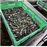 Light Weight Precision Machining Investment Castings Good Mechanical Properties