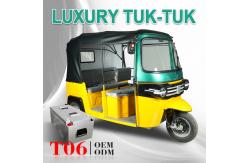 China Battery Operated Auto Electric Rickshaw Tuk Tuk Passenger For Handicap 3000W supplier