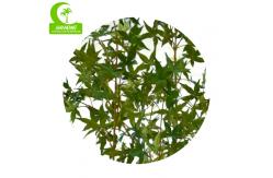 China Lifelike Height 220cm Silk Trees For Indoors For Living Room supplier