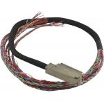 100pos RJ21 Telco Trunk Cable Assembly One End With 2pcs Connector