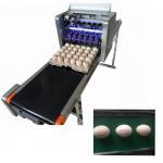 High Efficient Eggs Inkjet Coding Equipment For Expiration Date / Batch Number