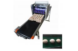 China High Efficient Eggs Inkjet Coding Equipment For Expiration Date / Batch Number supplier