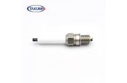 China Double Iridium Spark Plug Replacement for CUMMINS 2866879/4924504 supplier