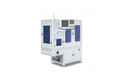 China 500KG Automatic Vision Counter Screw PE Packing Machine Professional Durable supplier
