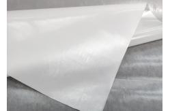 China Milky White Translucent PES Coplymer Hot Melt Film For PVC Patch supplier