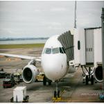 DDU DDP From China To Nigeria International Air Freight Forwarder for sale