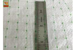 China Green Ground Netting Erosion Control , PP Plastic Erosion Control Wire Mesh supplier