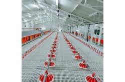 China Durable Chicken Duckling Poultry Slat Flooring supplier