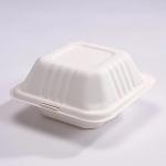 Eco Friendly Biodegradable  Sugarcane Pulp Hamburger Box Clamshell Containers 6 Inch