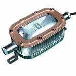 IP67 3000lm Commercial LED Explosion Proof Light 30W CRI 78 For Underground Mine for sale