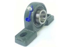 China 2 Bolt Pillow Block Roller Bearings With Cast Iron Pillow Blocks UCFCS208 supplier