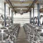 50T/H Jujube Hawthorn Processing Line Food Application