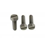 Customized Titanium Slotted Head Screws For Industrial for sale