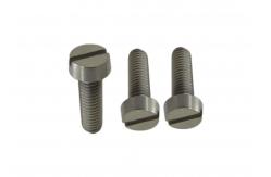 China Customized Titanium Slotted Head Screws For Industrial supplier