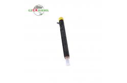 China Fuel Injector EJBR02501Z 33800-4X900 338004X900 for Delphi Engine supplier