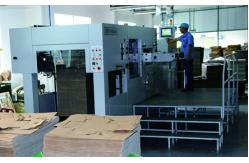 China Custom Printed Paper Bags manufacturer