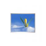AUO G170ETN02.0 17 Inch Industrial LCD Panel With 16.7M Colors 1280 X 1024 Resolution for sale