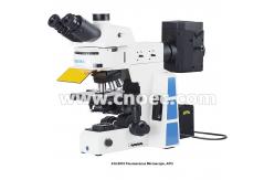 China Trinocular Infinity Optical Fluorescence Microscope With Halogen Lamp supplier