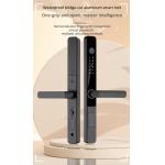 Zinc Alloy Camera Smart Lock Tuya Ring Camera Door Lock CE Approval for sale