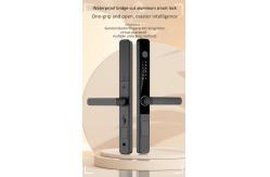 China Zinc Alloy Camera Smart Lock Tuya Ring Camera Door Lock CE Approval supplier