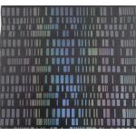 Colorful Rectangular 50D Mechanical Bullet Fabric for sale