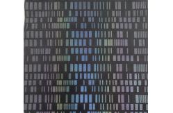 China Colorful Rectangular 50D Mechanical Bullet Fabric supplier