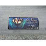 Double Sided HD LED Billboard Pitch 6mm LED Stadium Church Screen