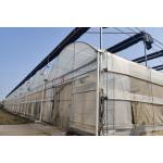 Multi Span Film Vegetables Greenhouse In Hot Climate With Sprinkler Irrigation System
